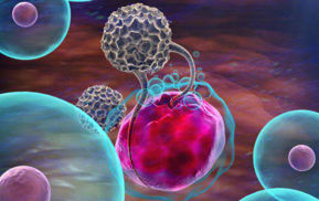 تصویر برای دسته  هورمون و ایمونولوژی